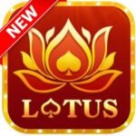 Rummy Lotus APK